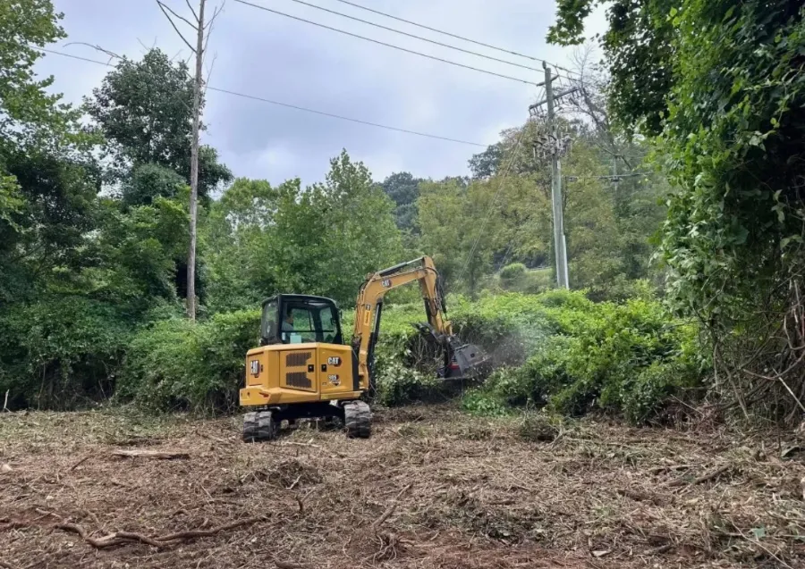 Brush clearing on an overgrown lot